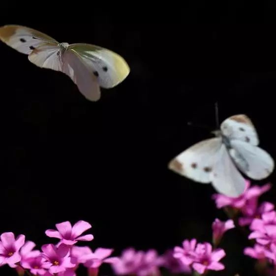 图片[23]｜一文看懂5000年品牌营销史｜全营销数字服务平台丨榕媒圈