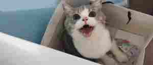 comfyUI如何入门？comfyUI保姆级入门攻略｜全营销数字服务平台丨榕媒圈