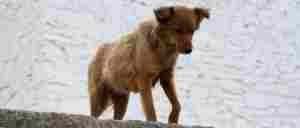 林雨：自己能量非常低的时候，还要不要对别人好？｜全营销数字服务平台丨榕媒圈