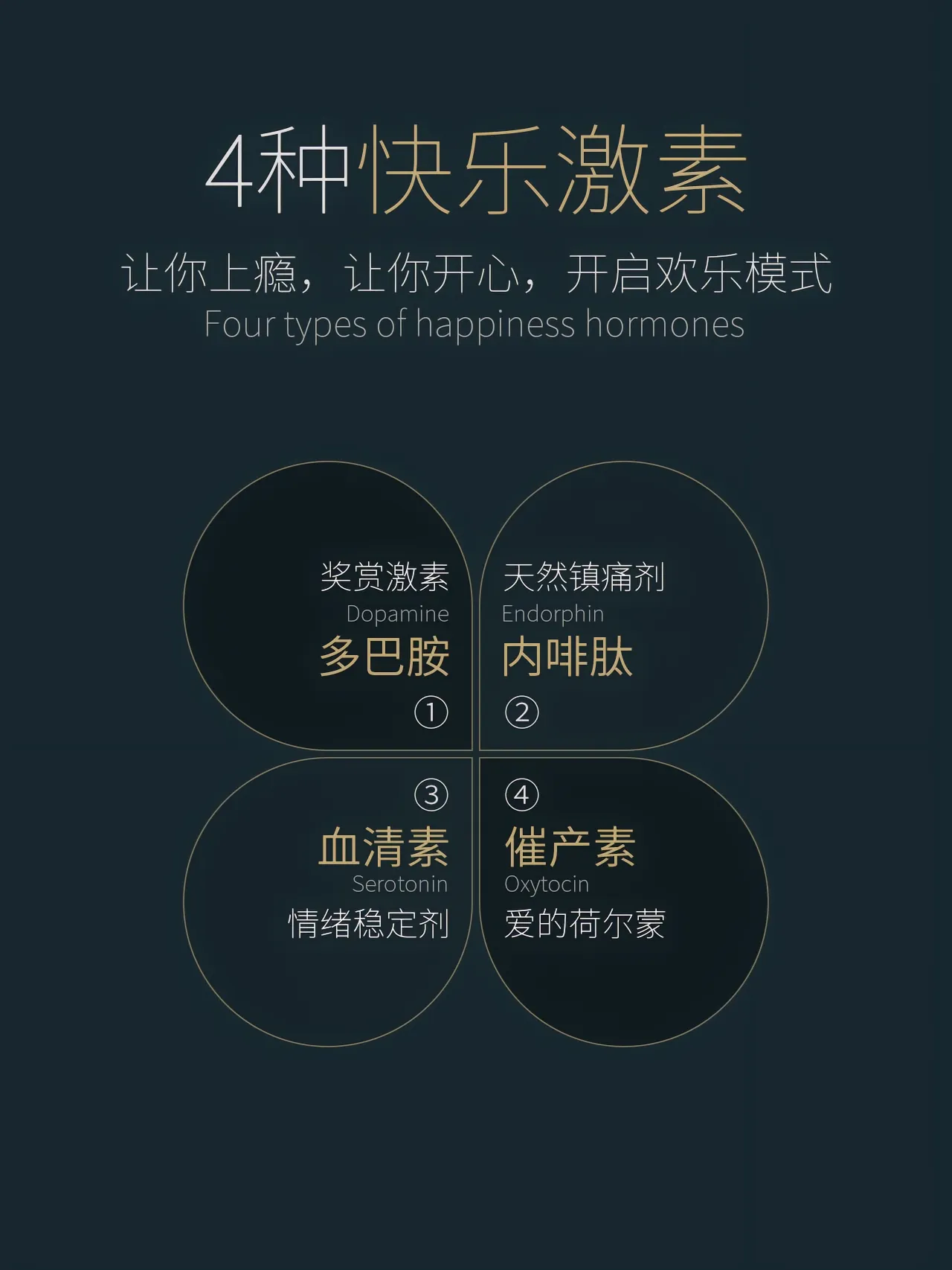 4种快乐激素助你开启欢乐模式：多巴胺，内啡肽，催产素｜融云数字服务社区丨榕媒圈BrandCircle