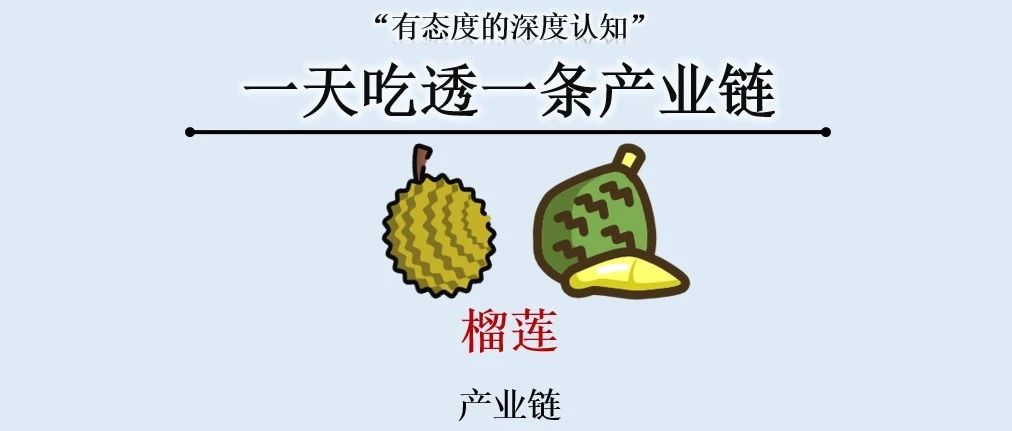 一天吃透一条产业链：榴莲产业｜融云数字服务社区丨榕媒圈BrandCircle