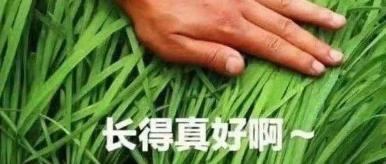 融资必备！创业者融资防骗指南｜融云数字服务社区丨榕媒圈BrandCircle