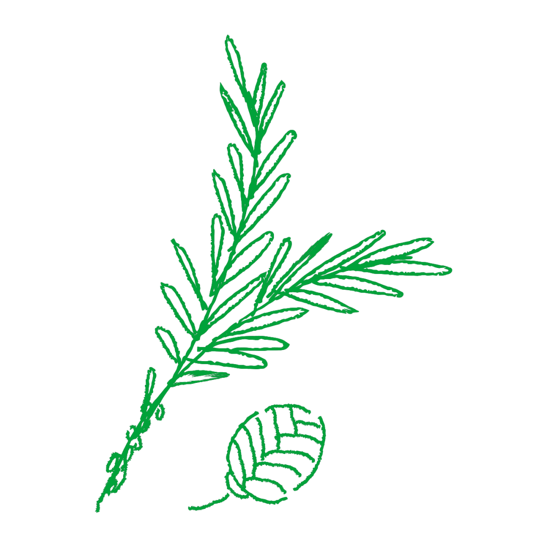 图片[2]｜融资必备！企业如何把握融资节奏｜全营销数字服务平台丨榕媒圈