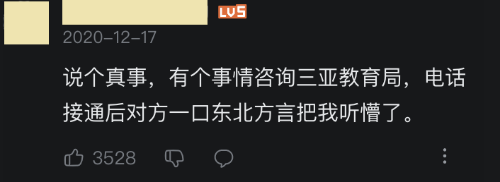 三亚现状：糟糕！我被俄罗斯人包围了插图29