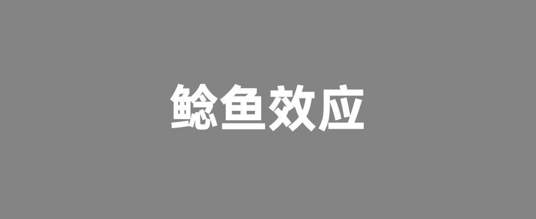 2024年策划人必备的15大经济学原理插图11