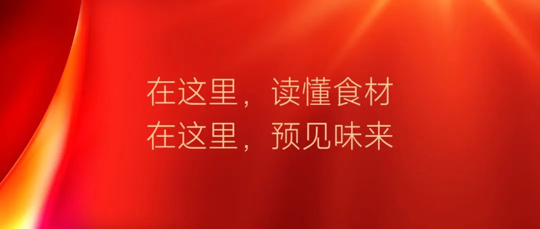 黑金鸡米花、咖喱味鸡柳、芒果鸡……链多多经销商大会发布16款“新奇特”新品！插图73