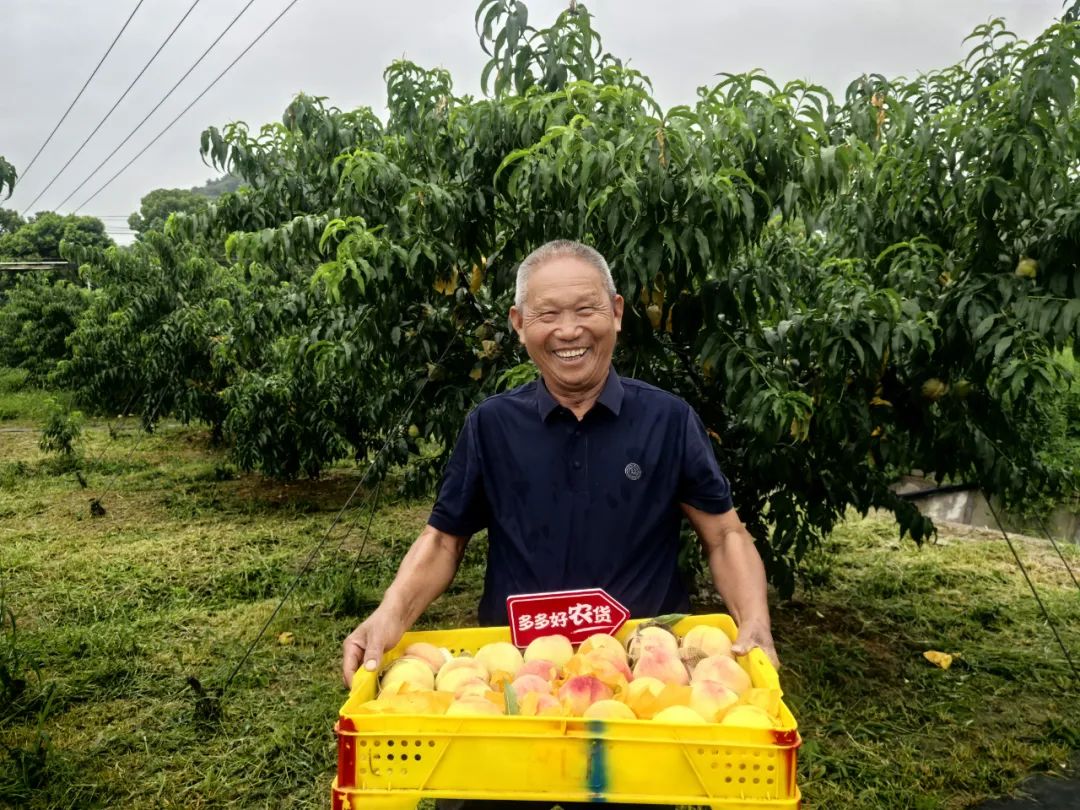 拼多多等频出新招！全国人大代表：供应侧深度变革促进电商全链条互利共赢插图3