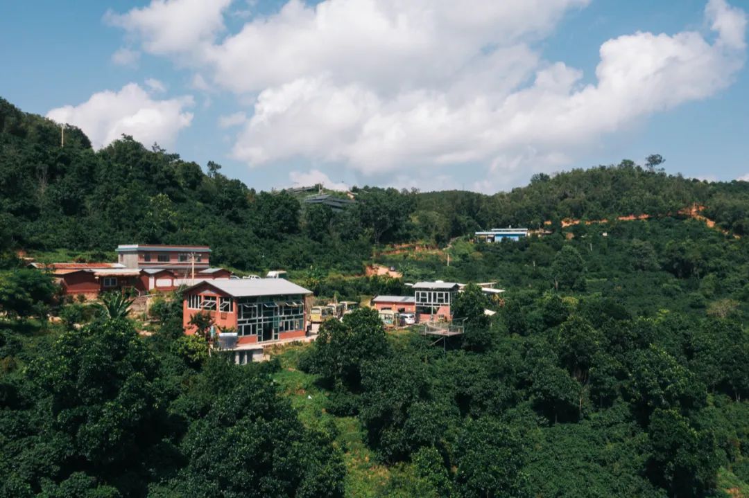 图片[4]｜那些跑去种咖啡的年轻人，都怎样了？｜全营销数字服务平台丨榕媒圈