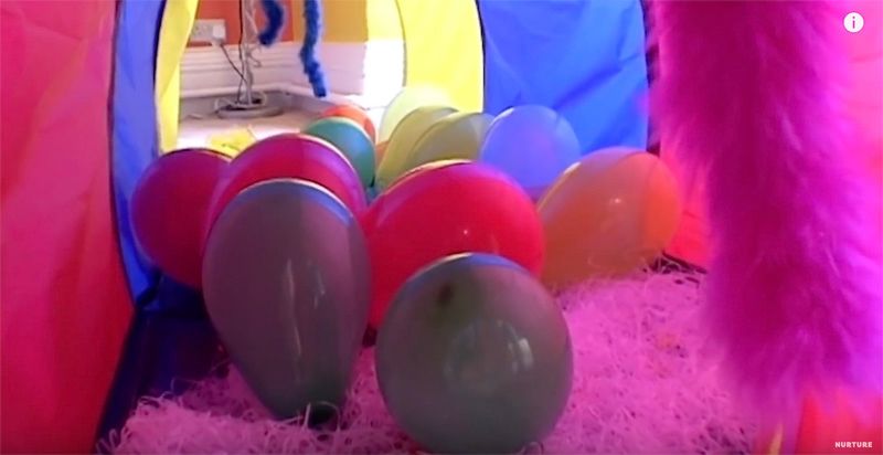 图片[55]｜没有大人管束，10个男女孩住在同一封闭别墅，5天后结果让人出乎意料…｜全营销数字服务平台丨榕媒圈