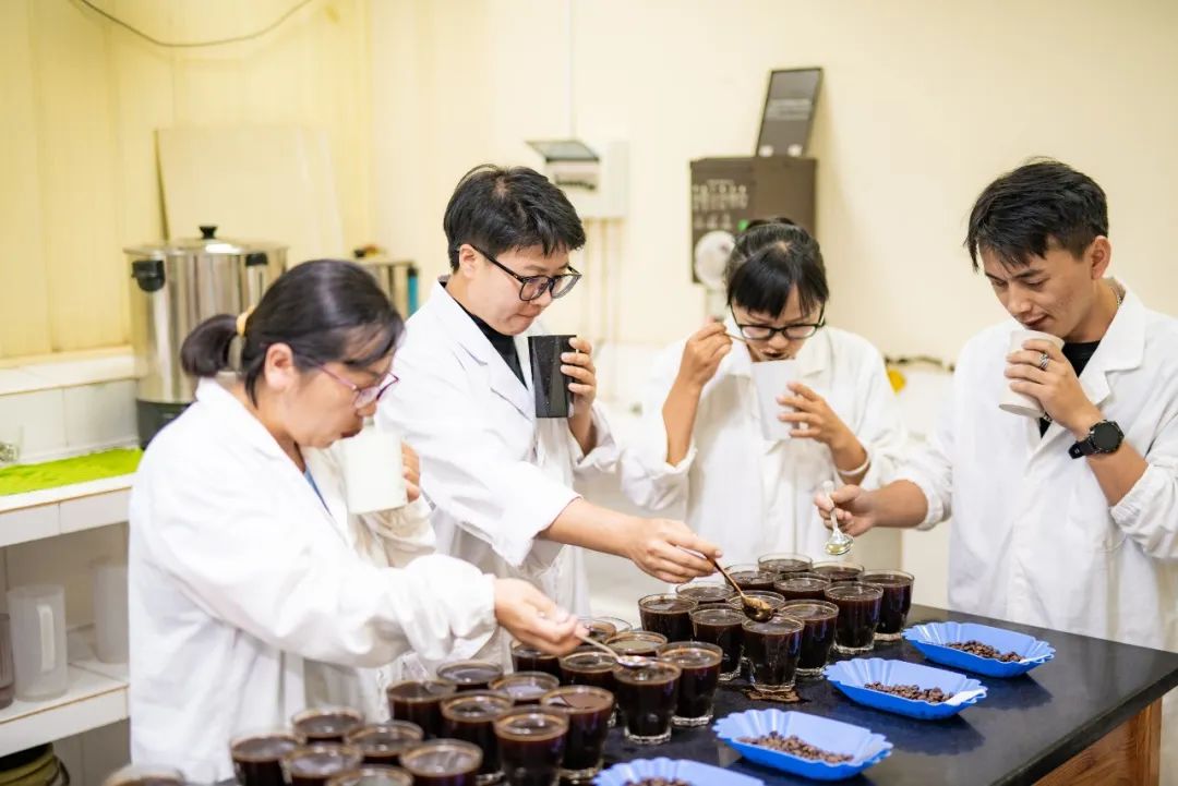 图片[8]｜那些跑去种咖啡的年轻人，都怎样了？｜全营销数字服务平台丨榕媒圈