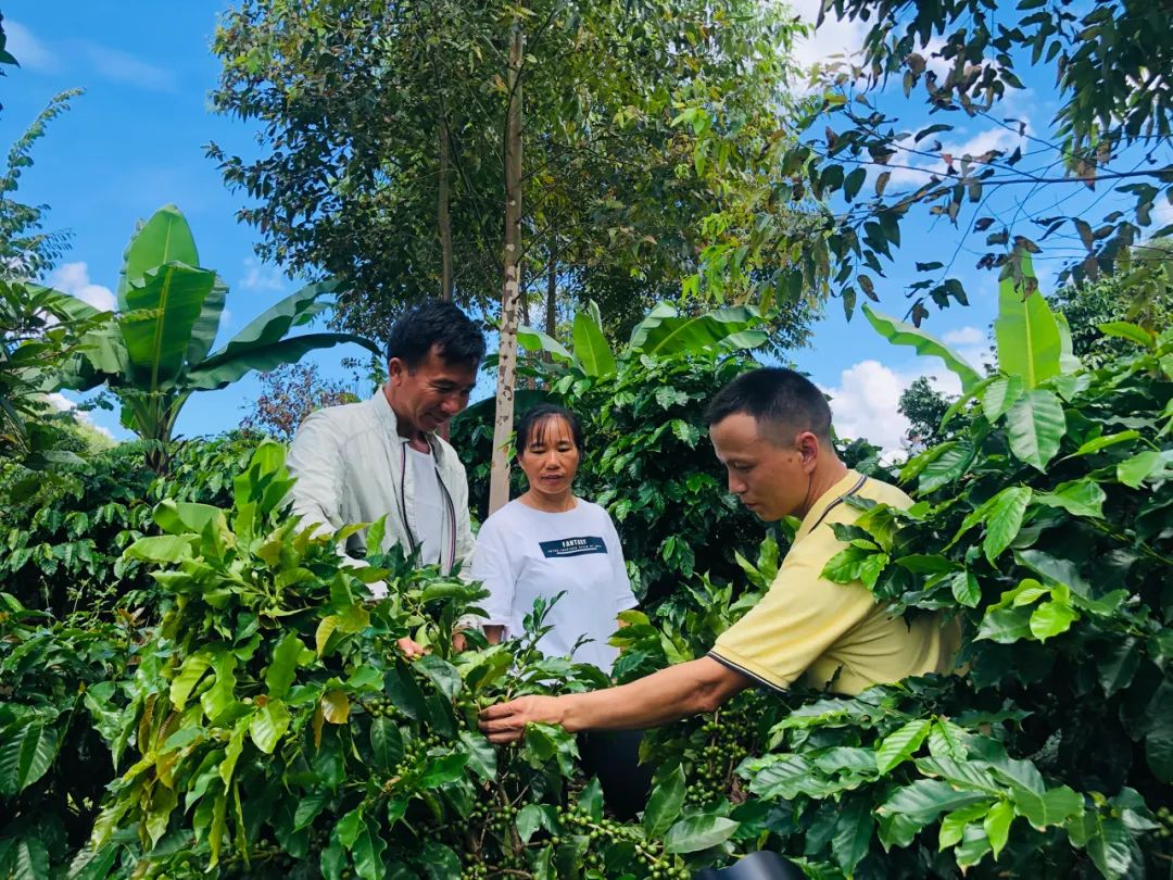 图片[7]｜那些跑去种咖啡的年轻人，都怎样了？｜全营销数字服务平台丨榕媒圈