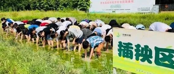 农业研学基地实践区域建设的详细步骤和要点｜融云数字服务社区丨融媒圈BrandCircle