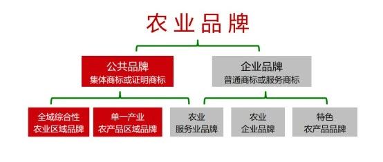 区域农业公用品牌一体化推广模式与案例｜融云数字服务社区丨榕媒圈BrandCircle