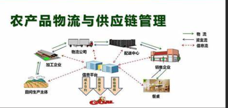 农产品供应链常见具体7种运作模式插图3