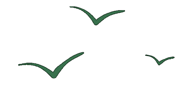 图片[2]｜股权架构—从“初创”到“IPO”全过程（9-17）！｜全营销数字服务平台丨榕媒圈